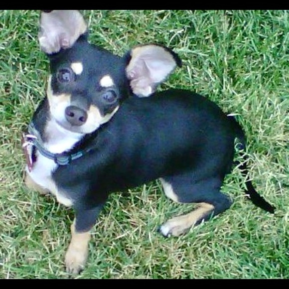 Meet your Posher, Jill - Picture 12 of 16